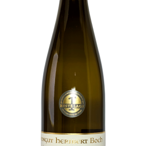 Trittenheimer Apotheke Riesling Abtswingert GG Trocken 2023
