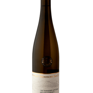 Trittenheimer Apotheke Riesling Kabinett Trocken 2025